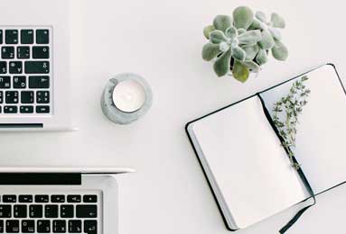 赏金女王模拟器-安东尼奥告诫弟子专注争胜